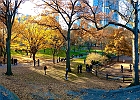 Central Park